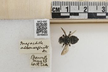 Media type: image;   Entomology 788822 Aspect: Labels